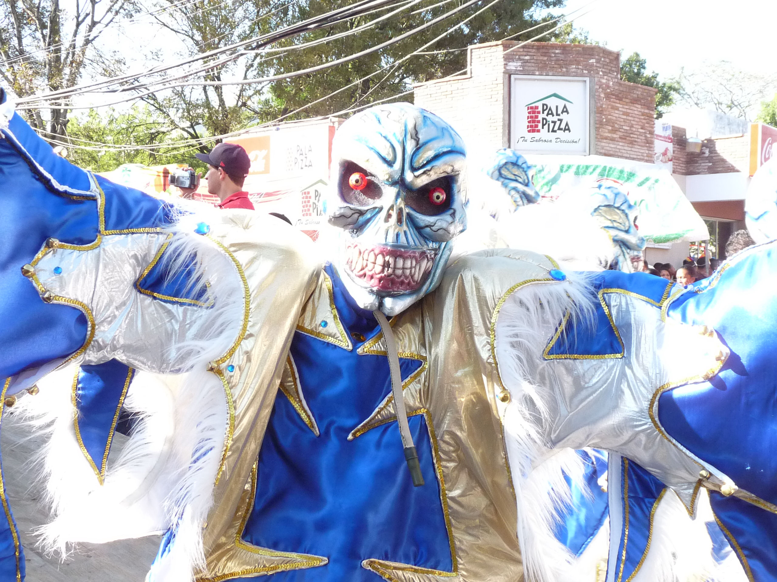 Carnaval Vegano 2009