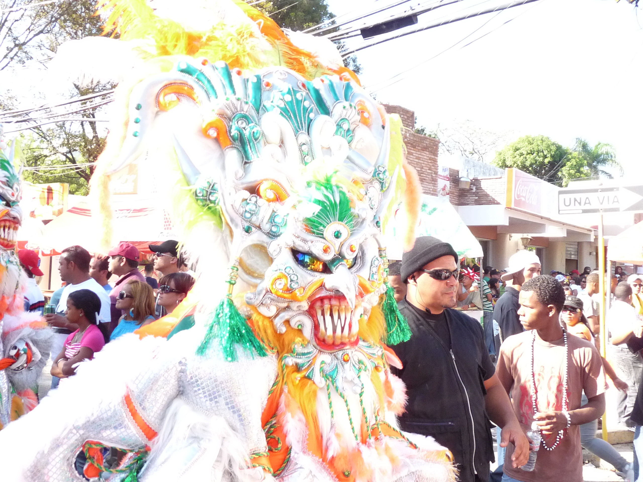 Carnaval Vegano 2009