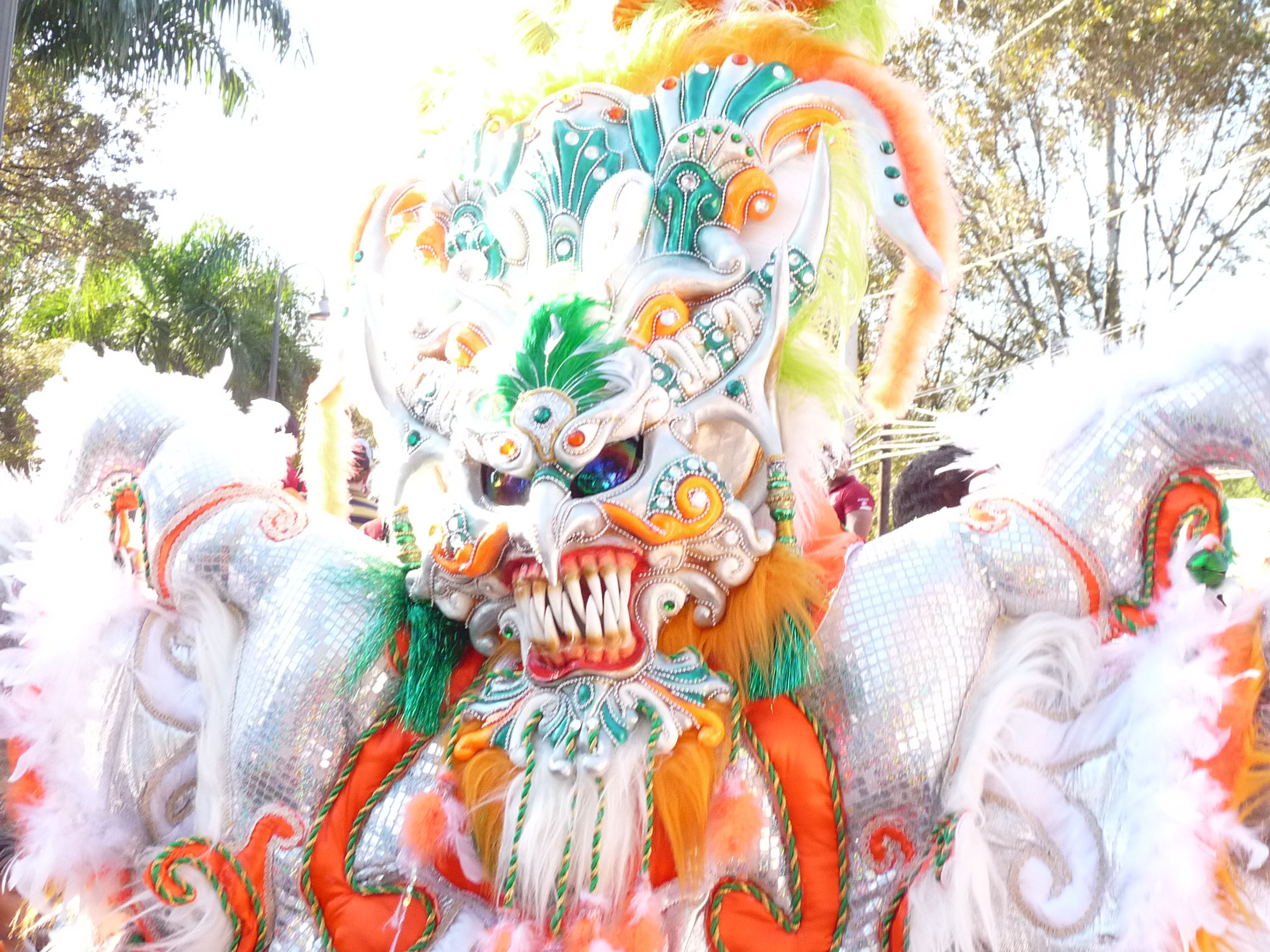 Carnaval Vegano 2009