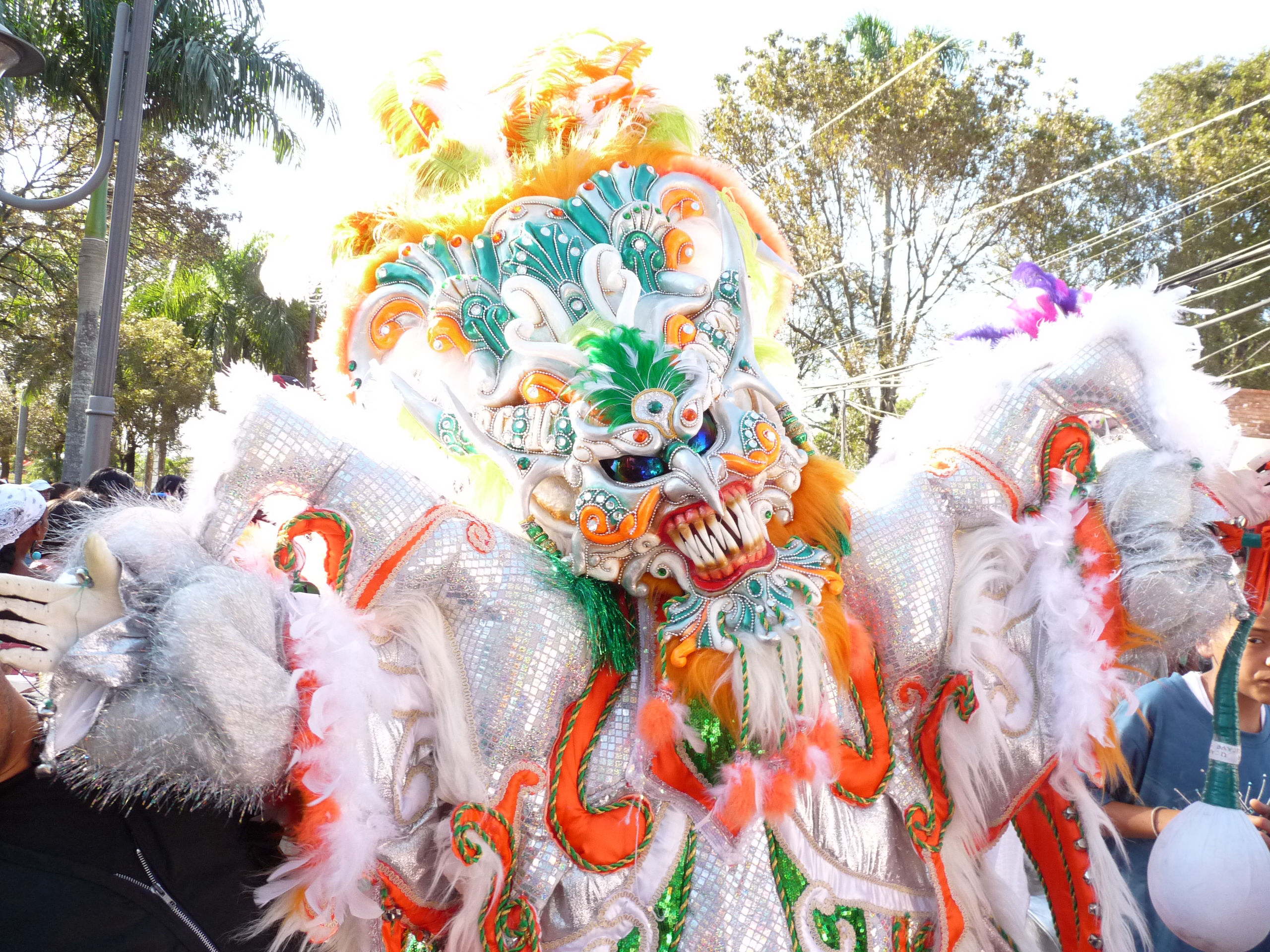 Carnaval Vegano 2009