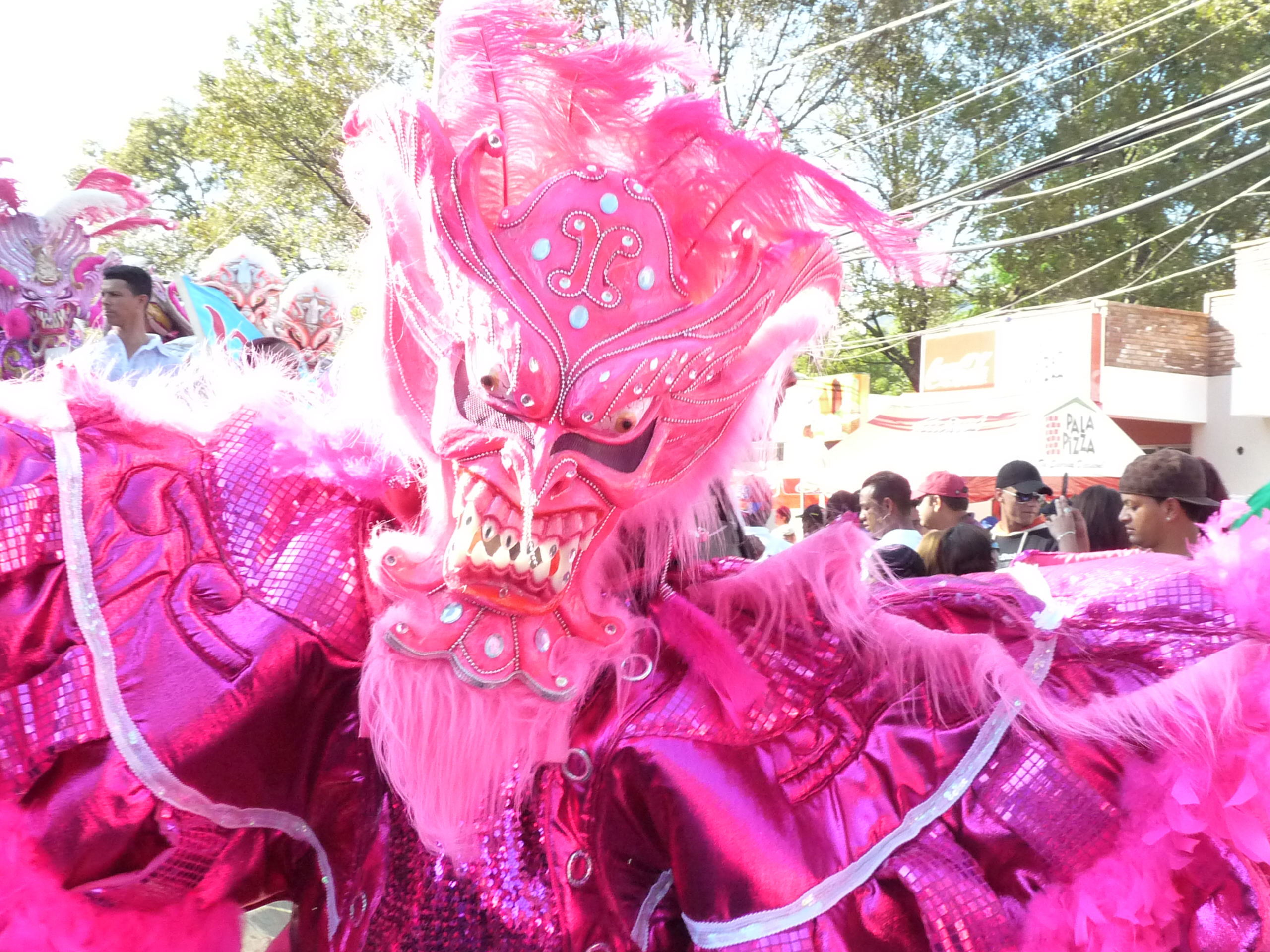 Carnaval Vegano 2009