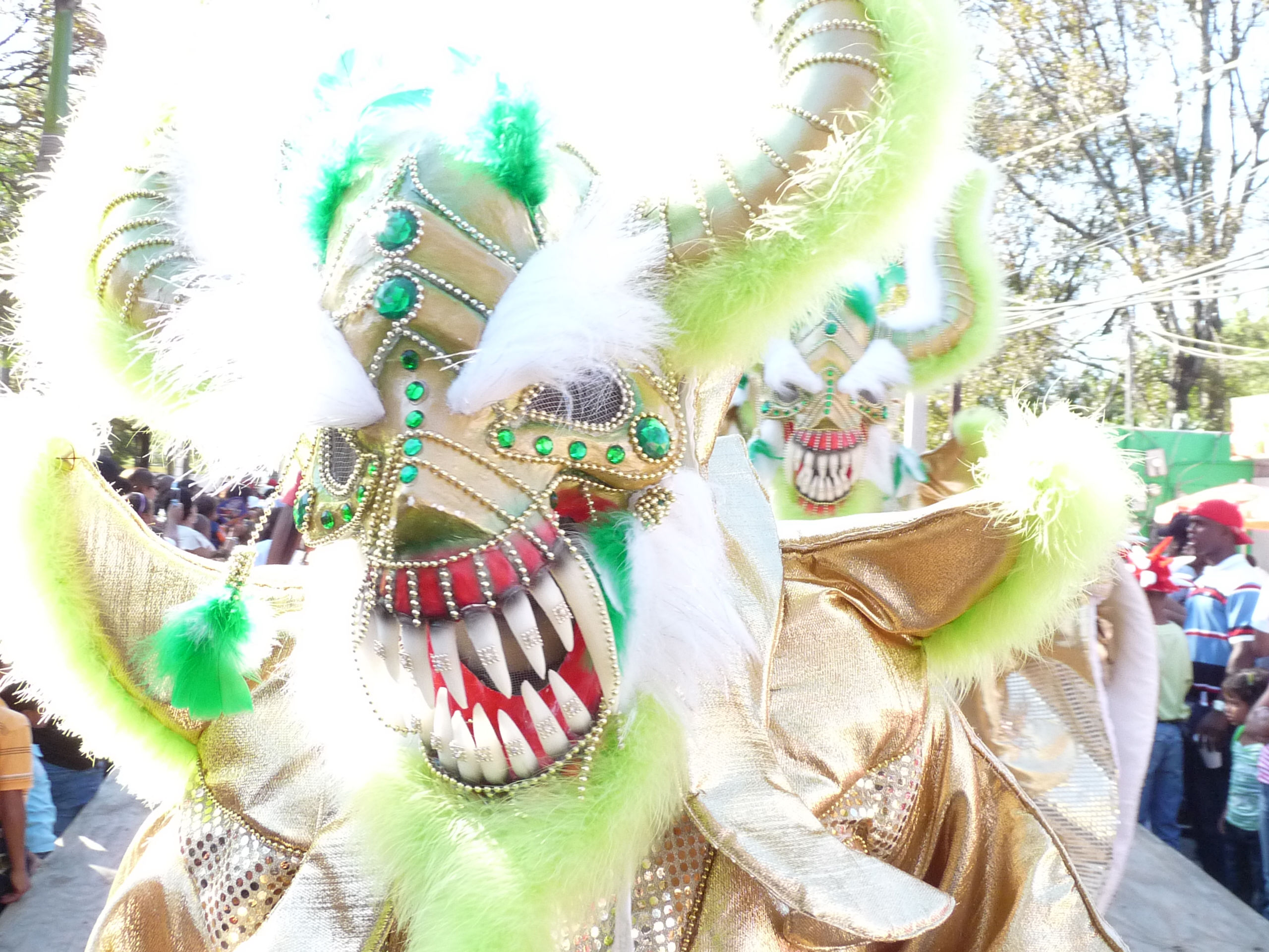 Carnaval Vegano 2009