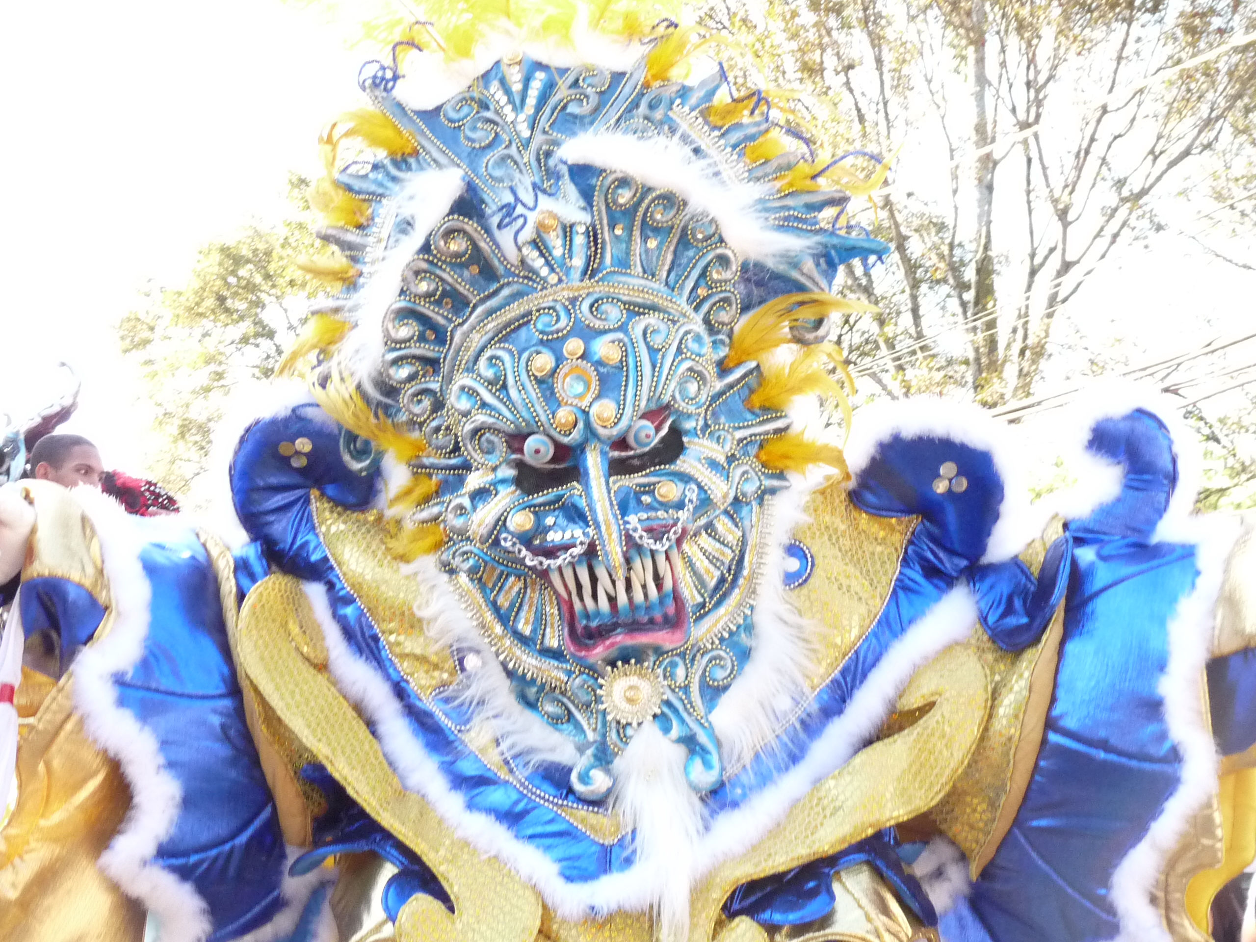 Carnaval Vegano 2009