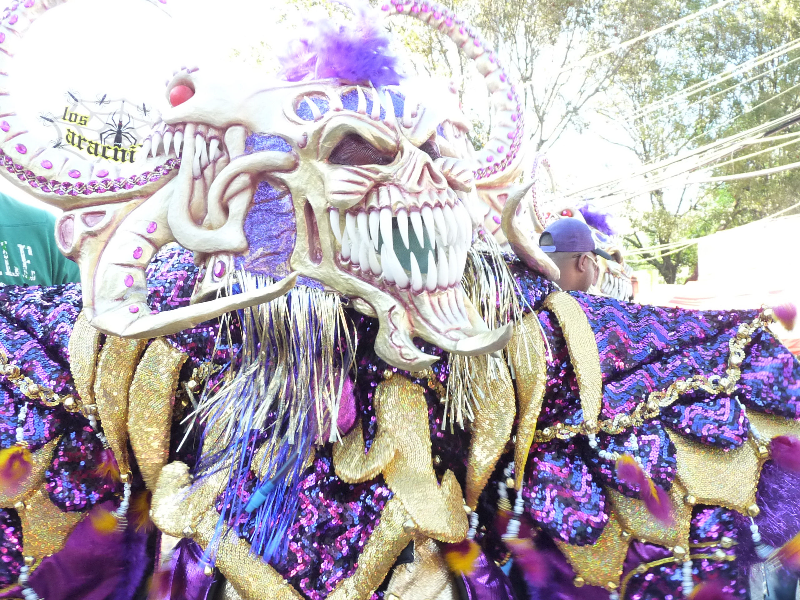 Carnaval Vegano 2009