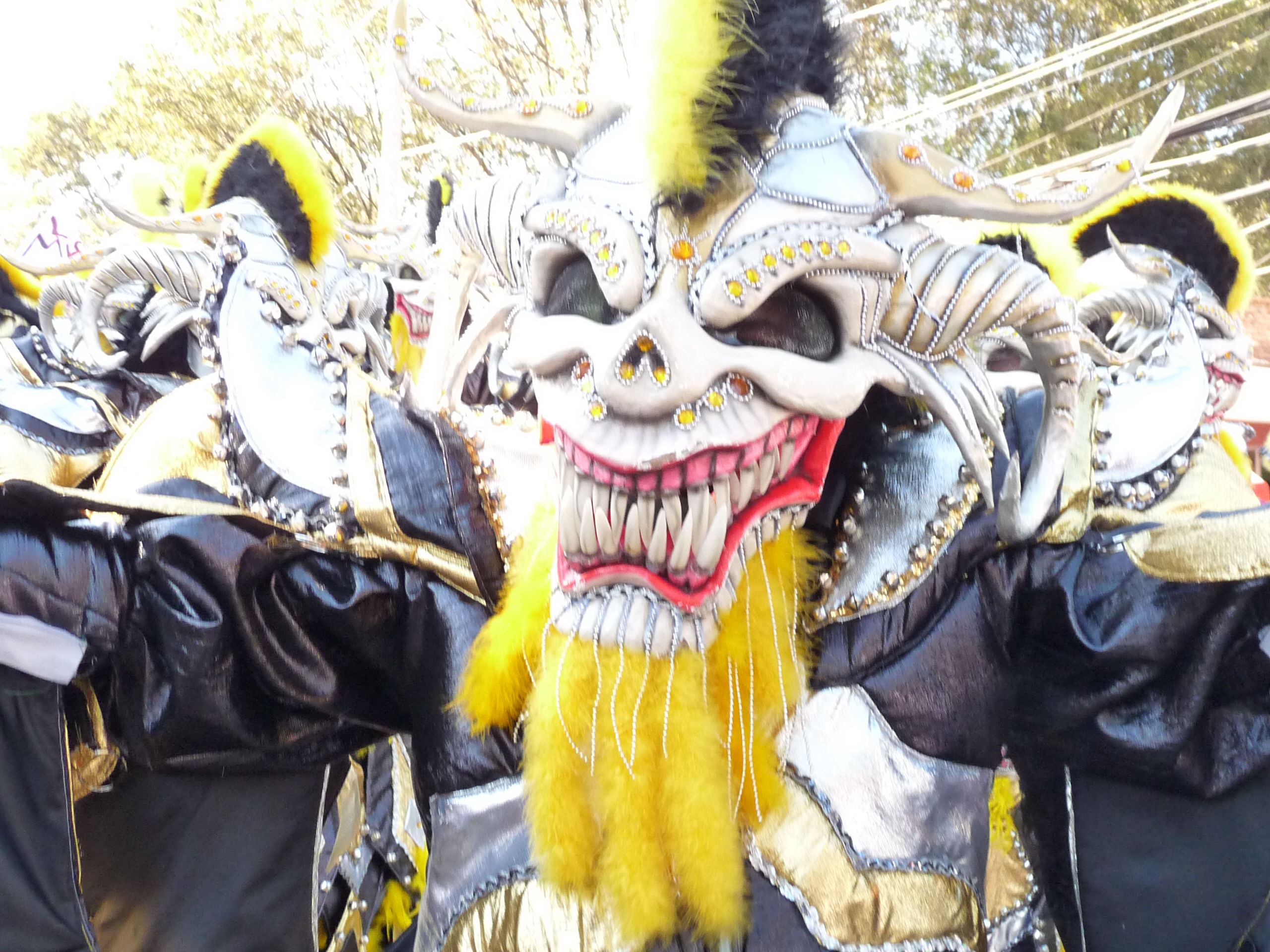 Carnaval Vegano 2009