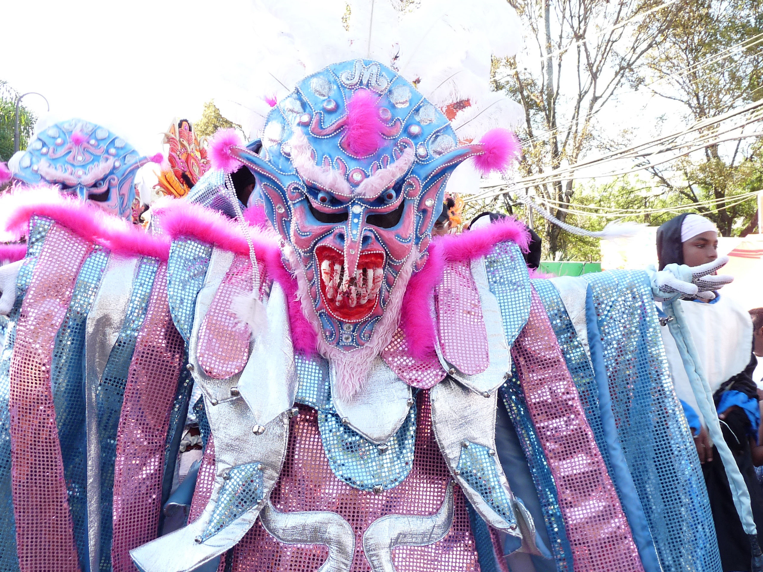Carnaval Vegano 2009