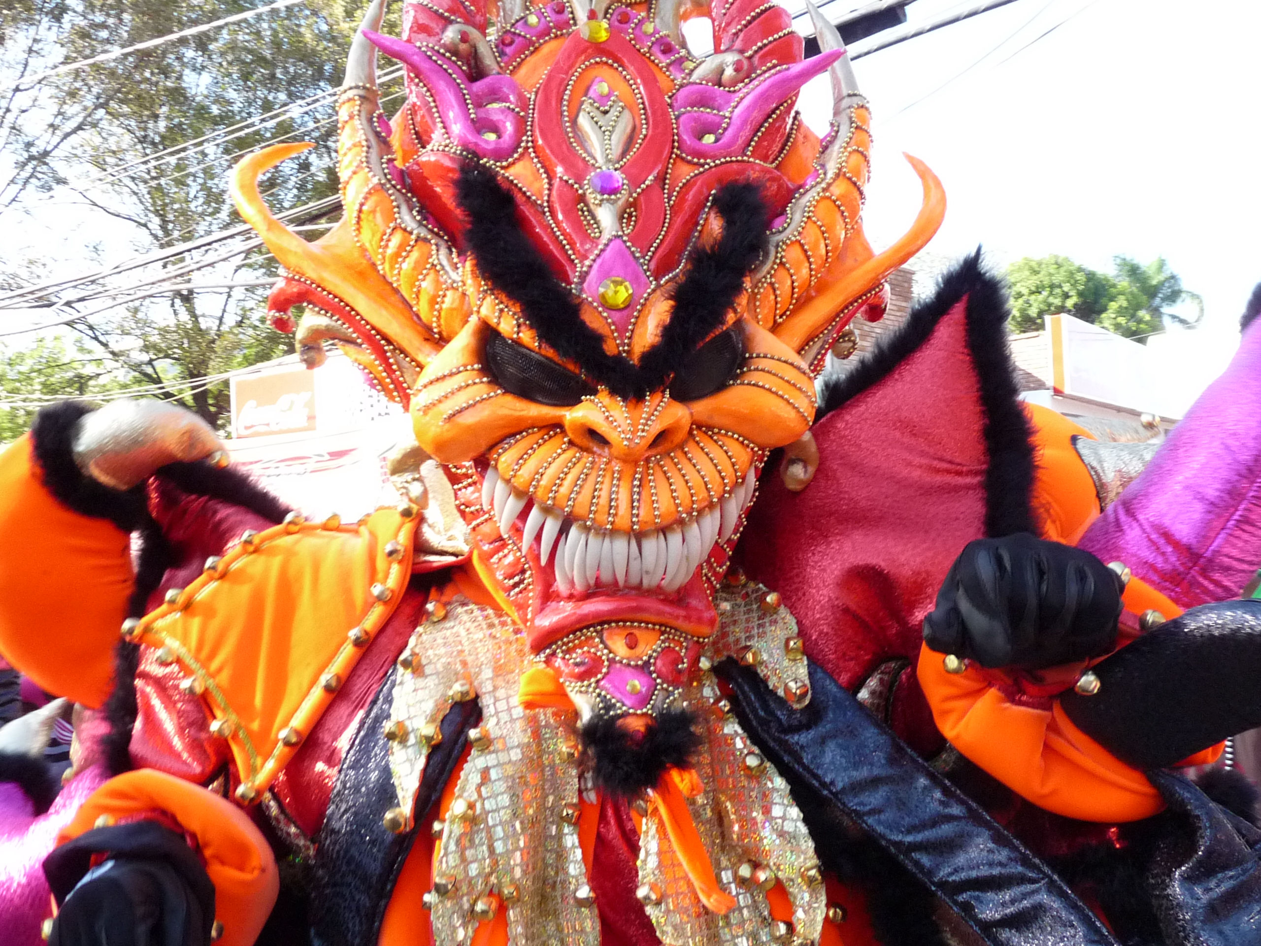 Carnaval Vegano 2009