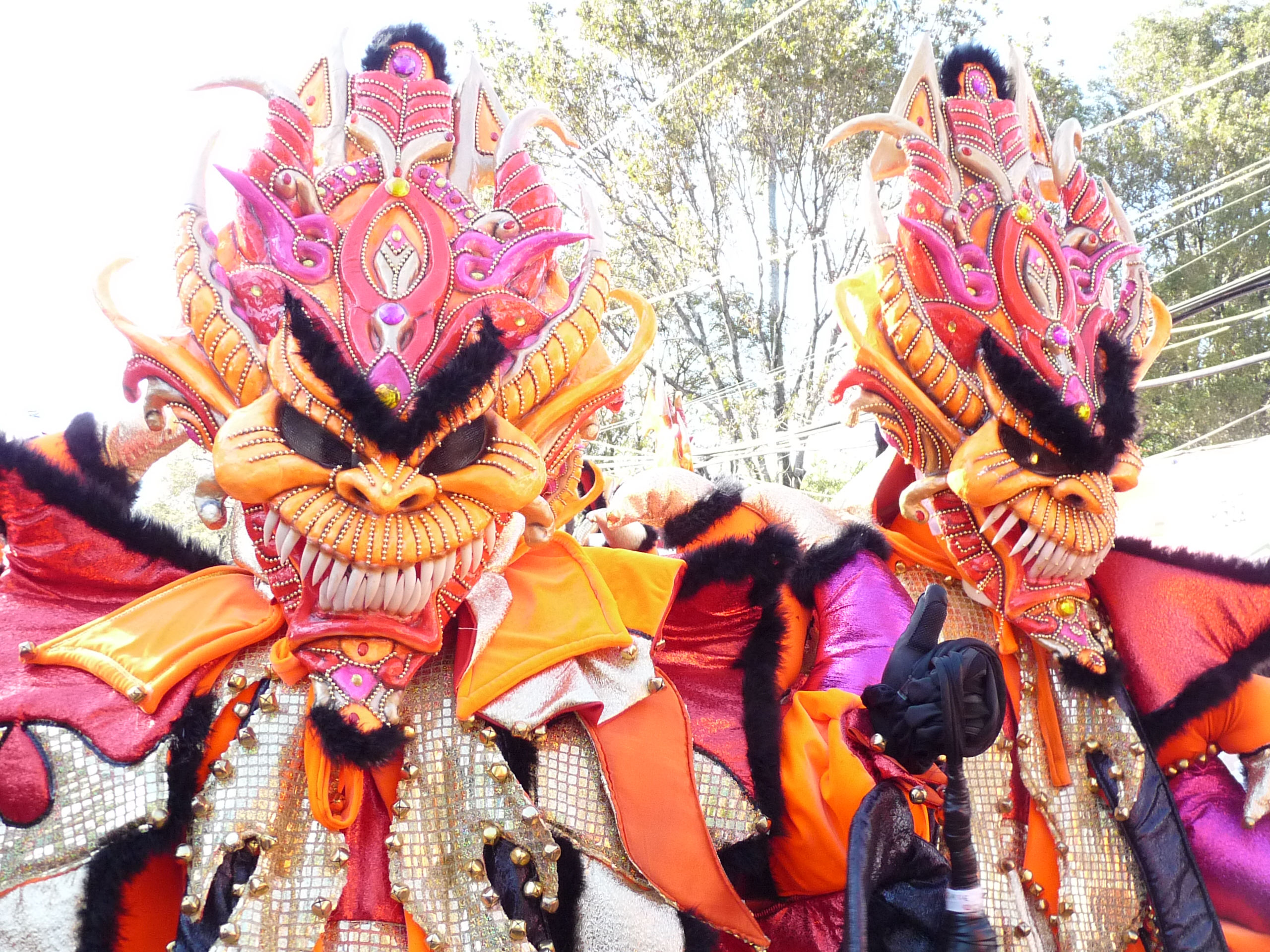 Carnaval Vegano 2009