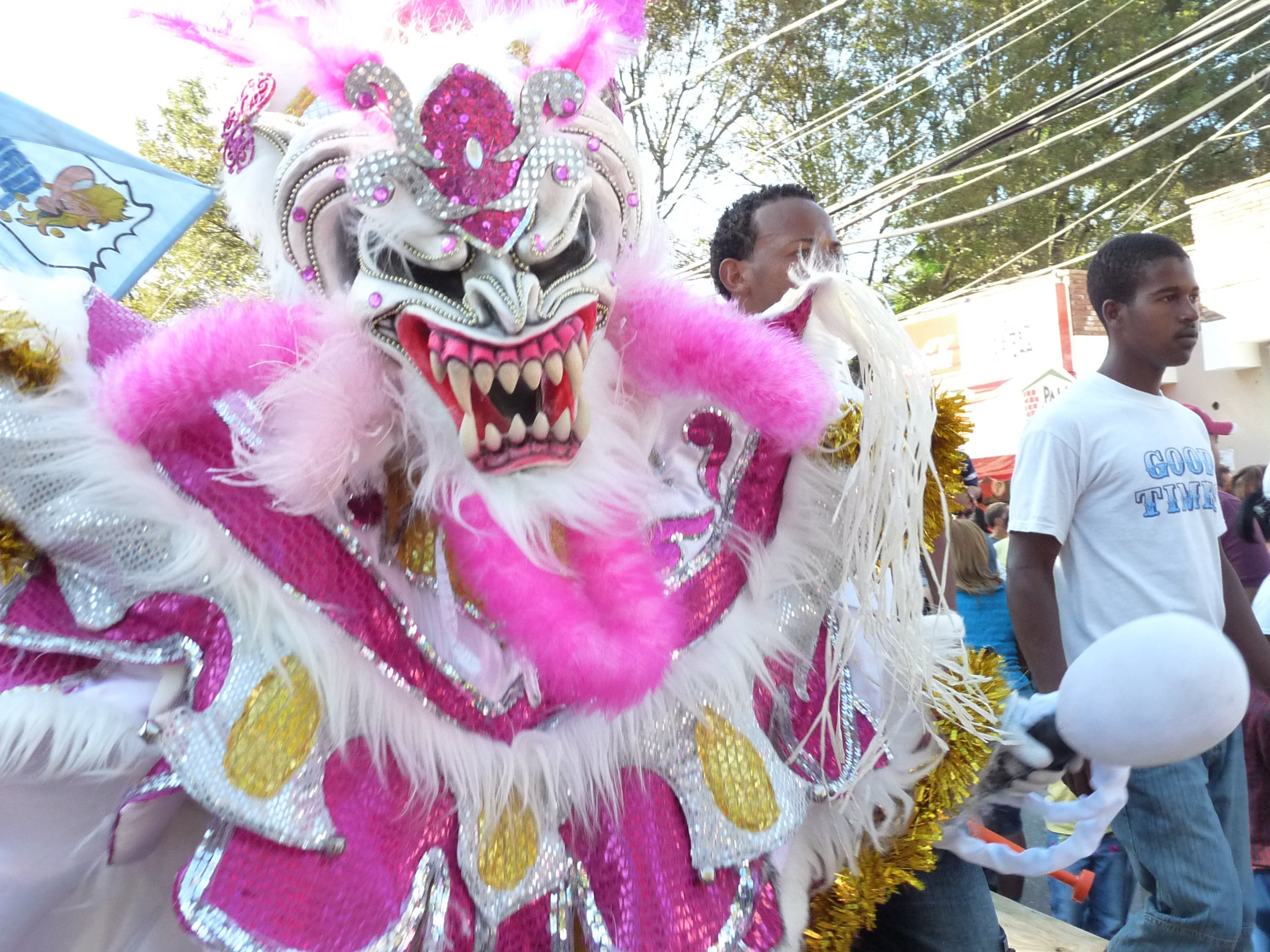 Carnaval Vegano 2009