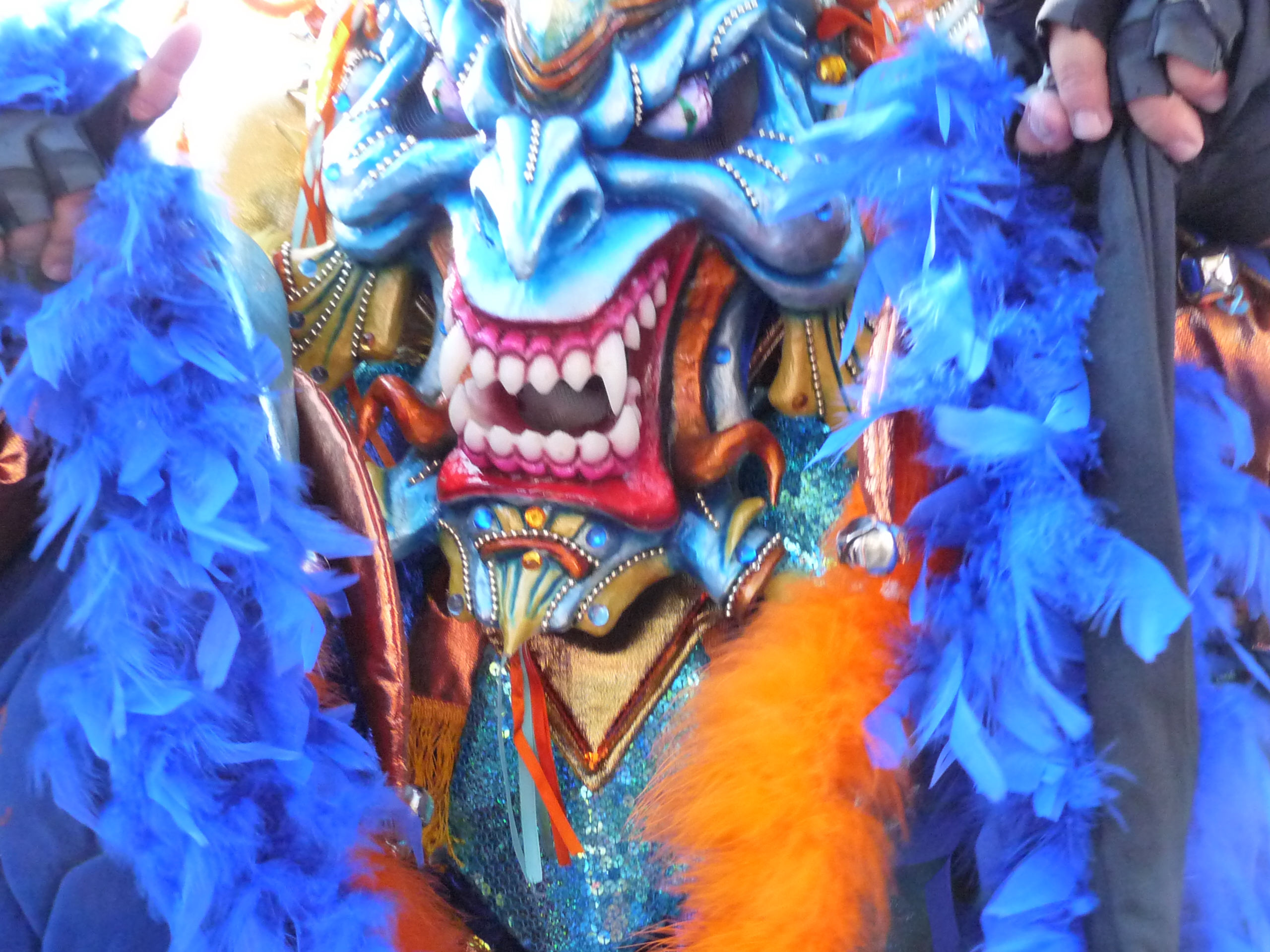 Carnaval Vegano 2009