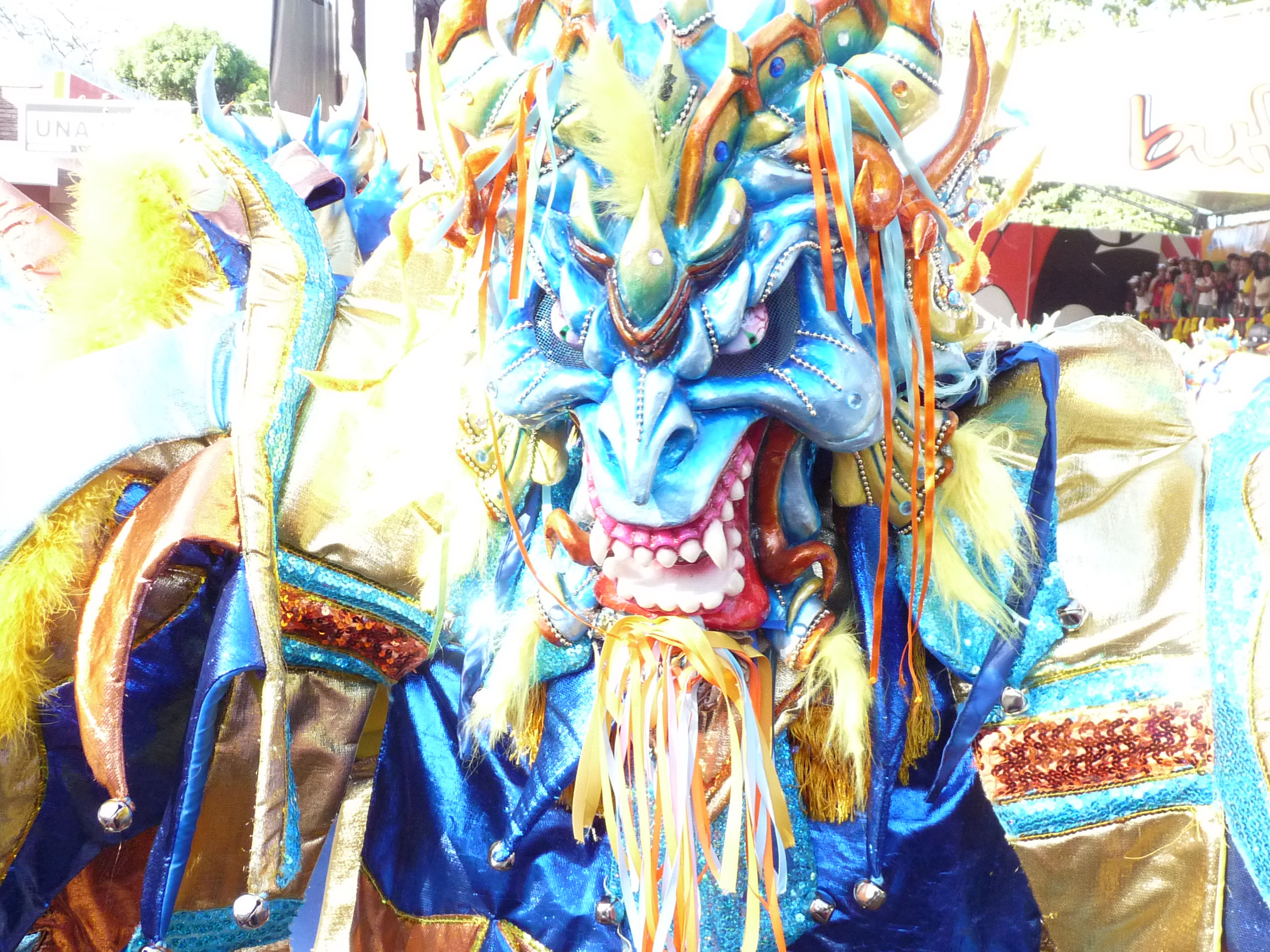Carnaval Vegano 2009