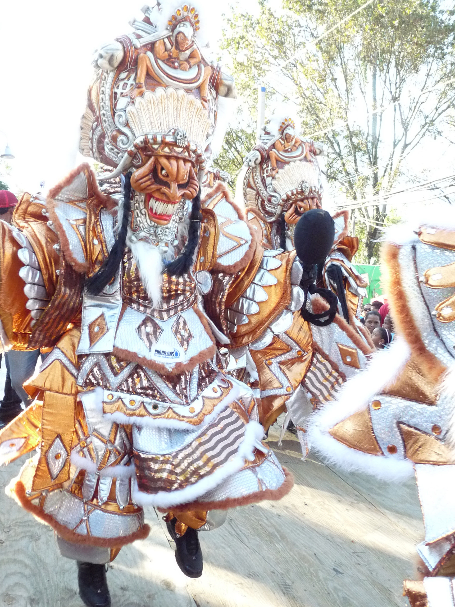 Carnaval Vegano 2009