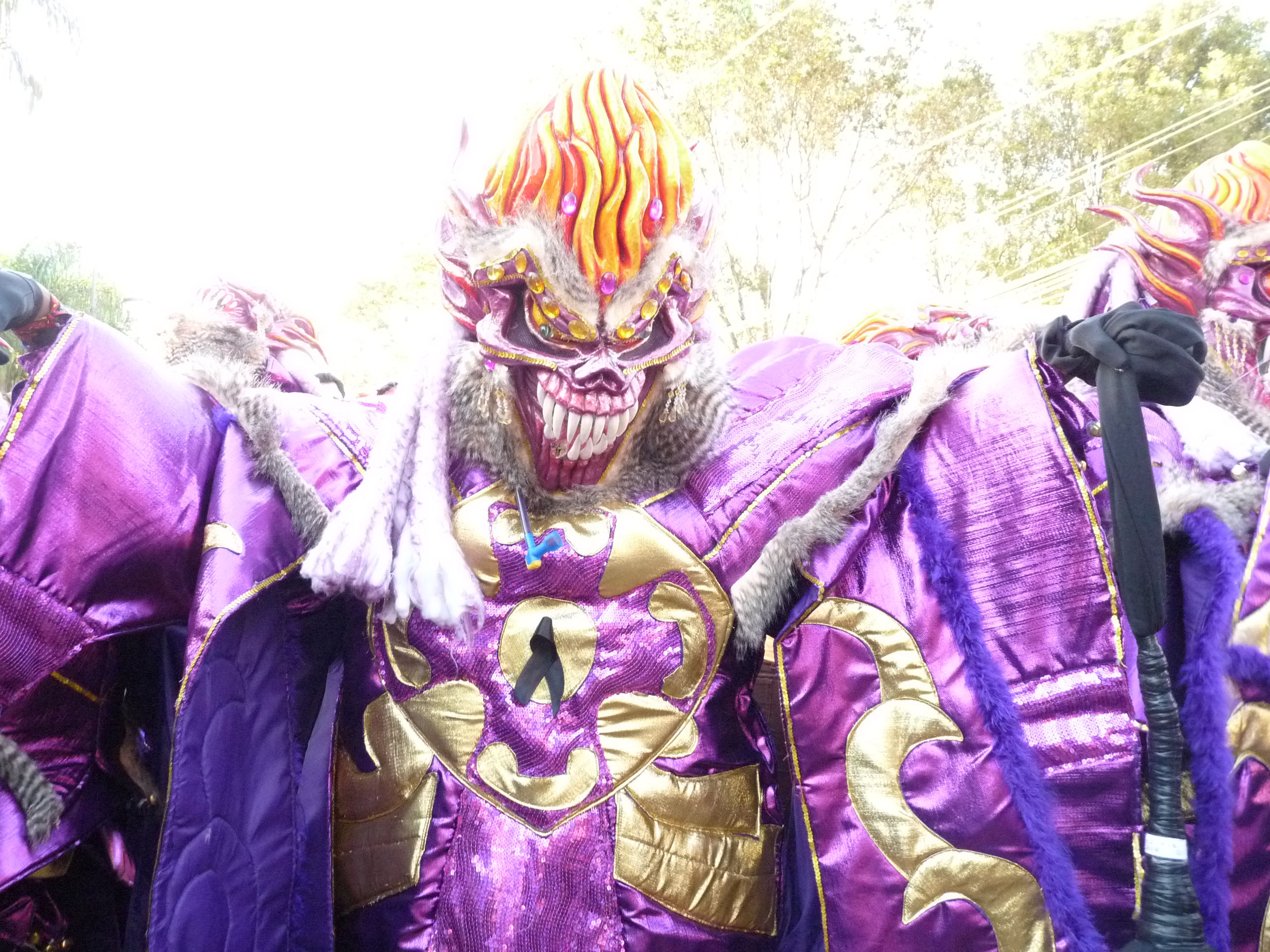 Carnaval Vegano 2009