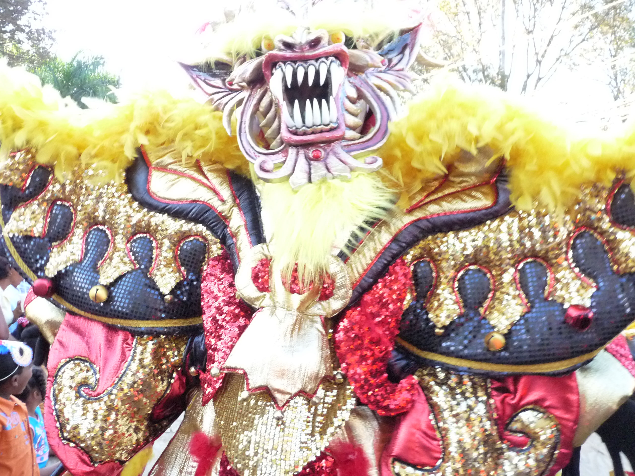 Carnaval Vegano 2009