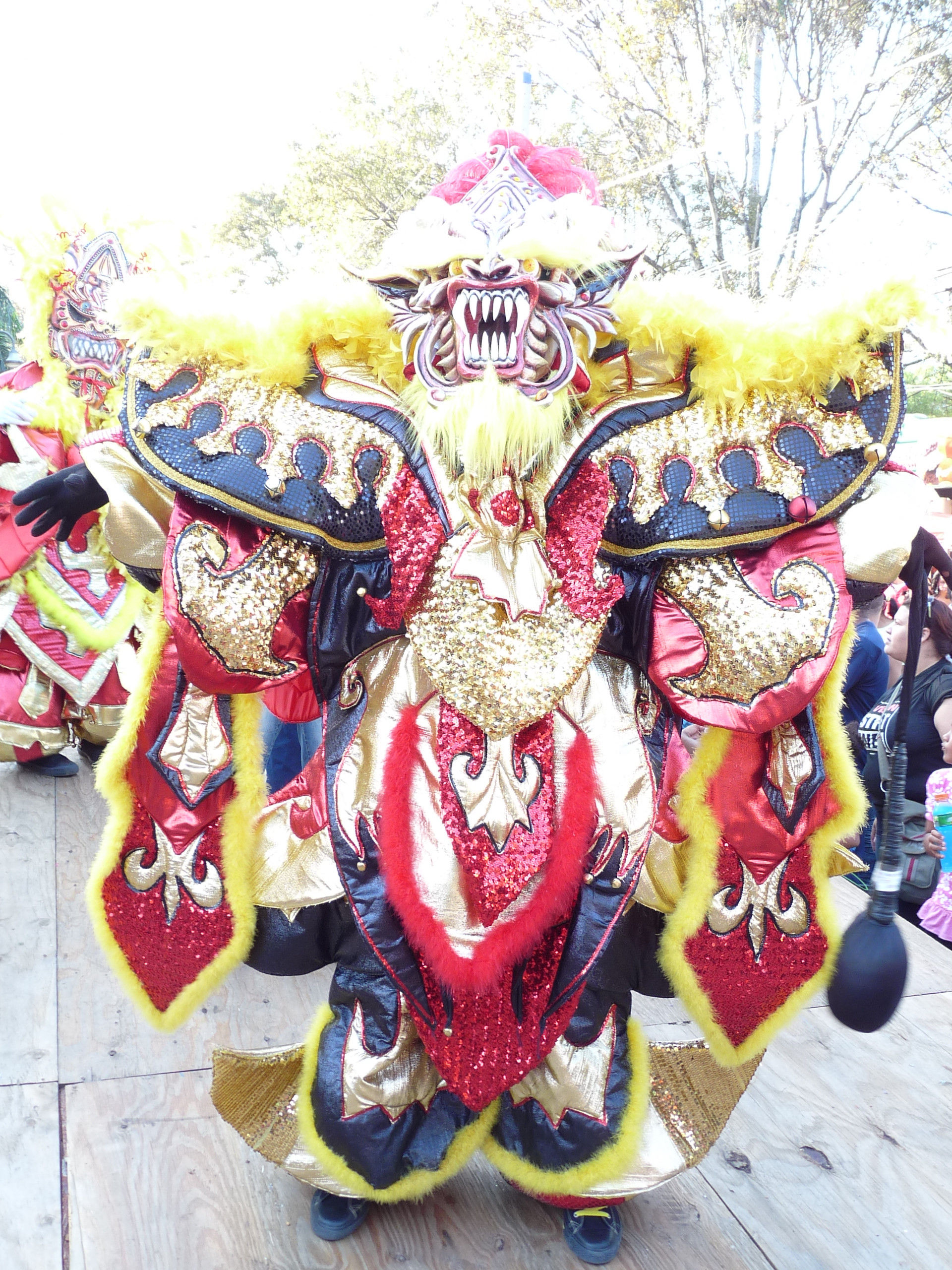 Carnaval Vegano 2009