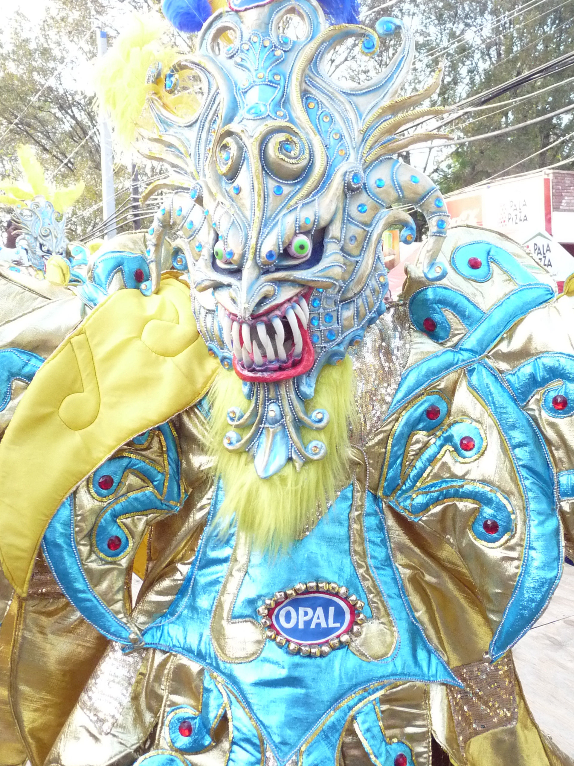 Carnaval Vegano 2009