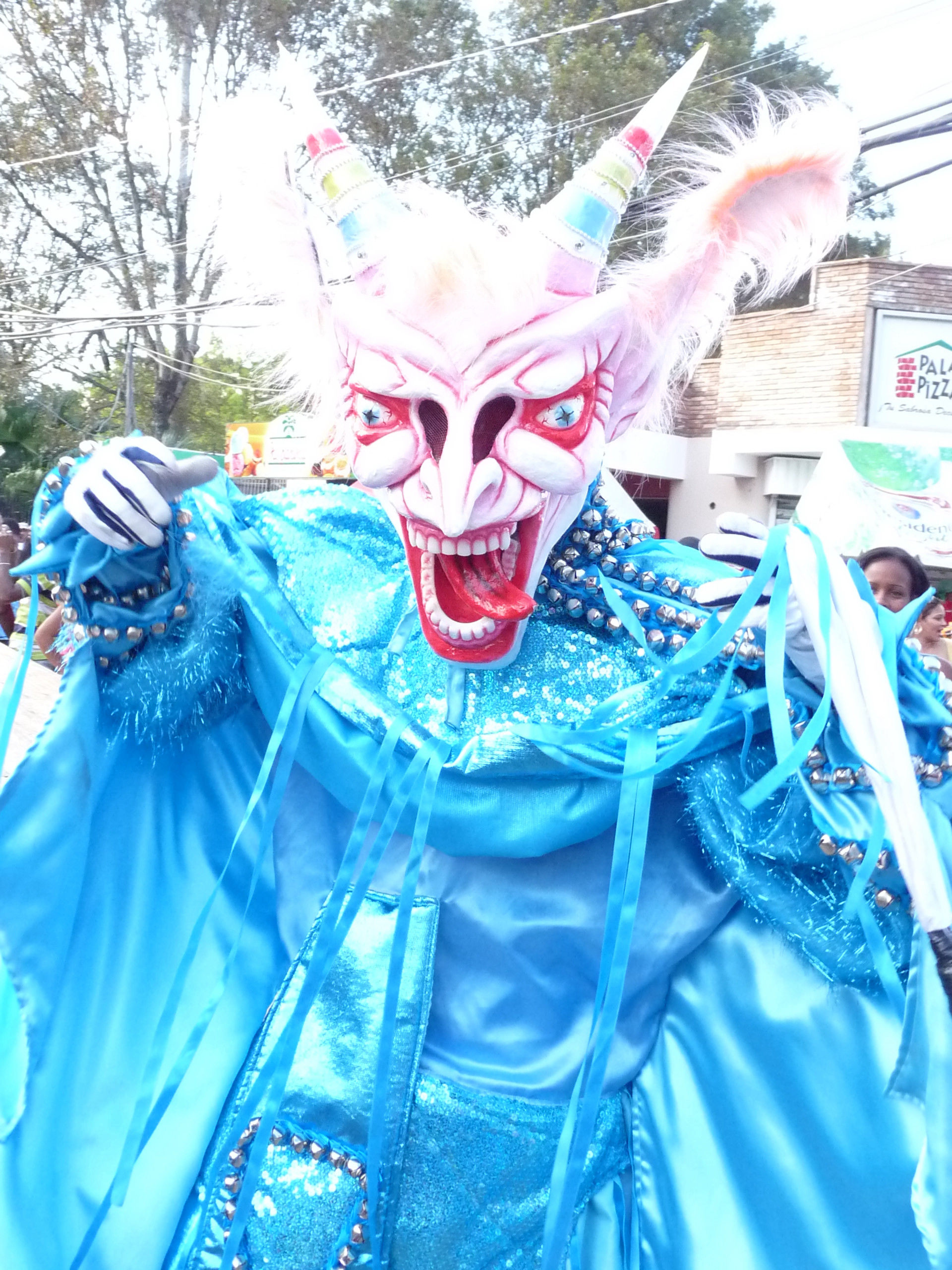 Carnaval Vegano 2009