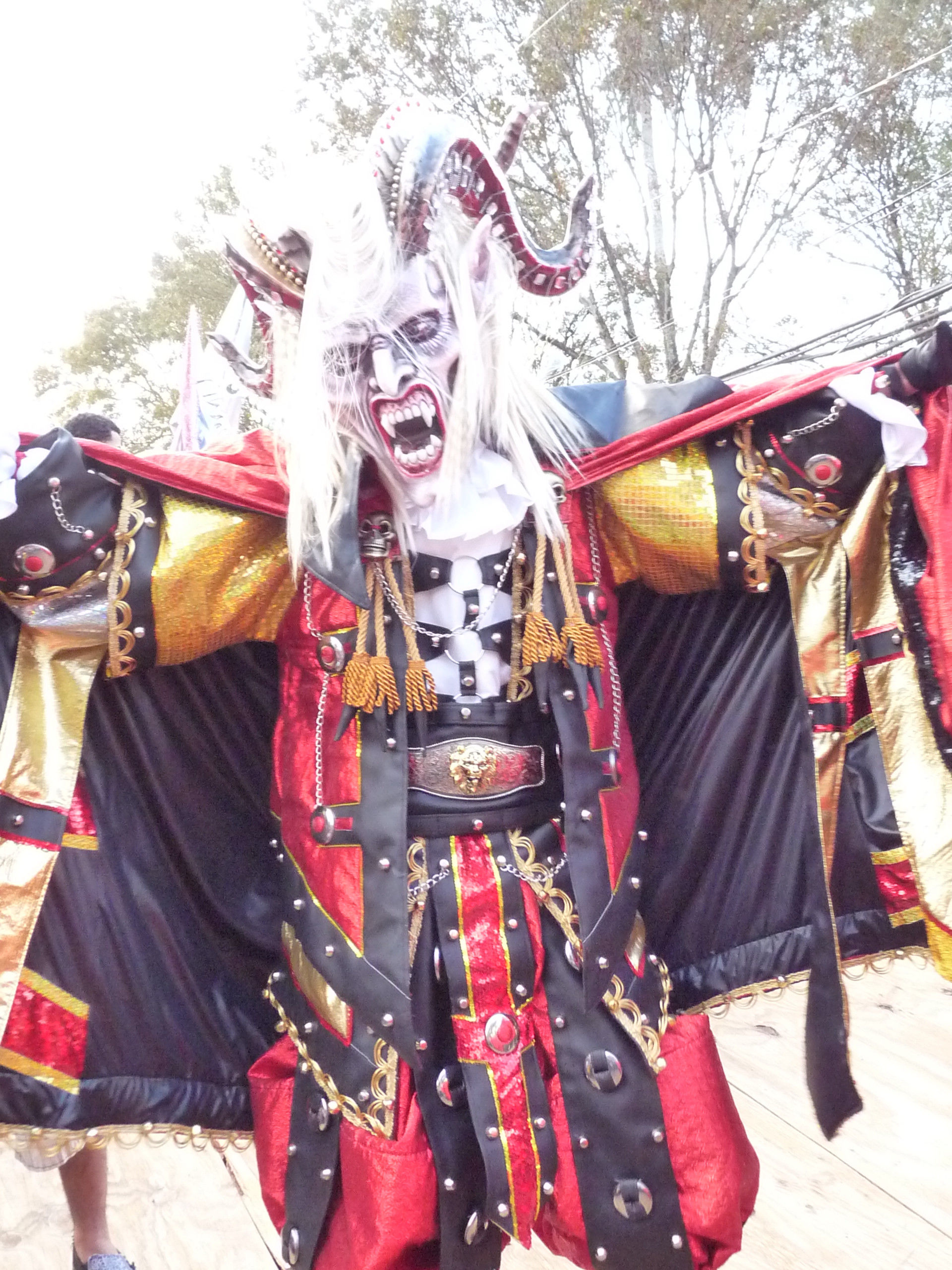 Carnaval Vegano 2009