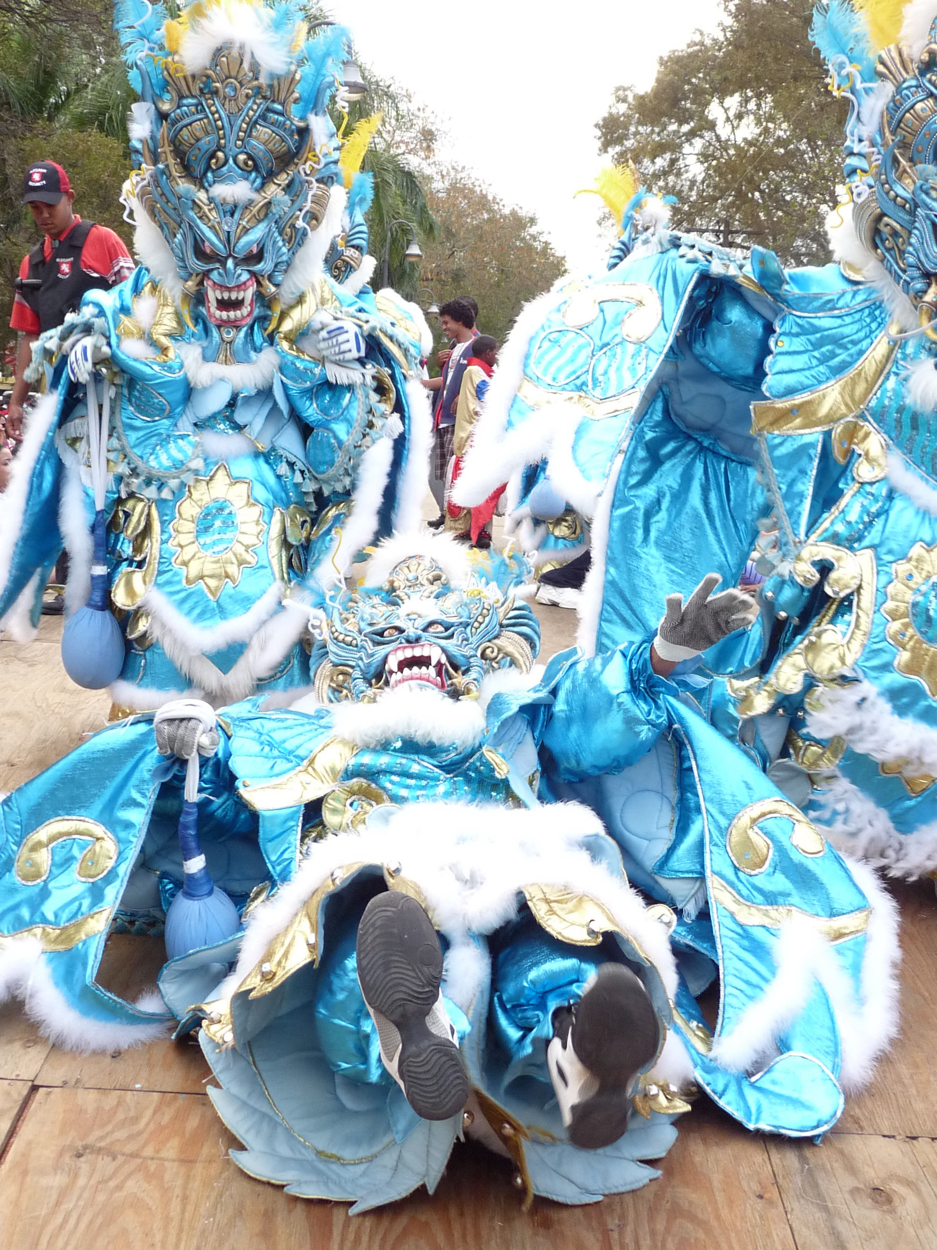 Carnaval Vegano 2009