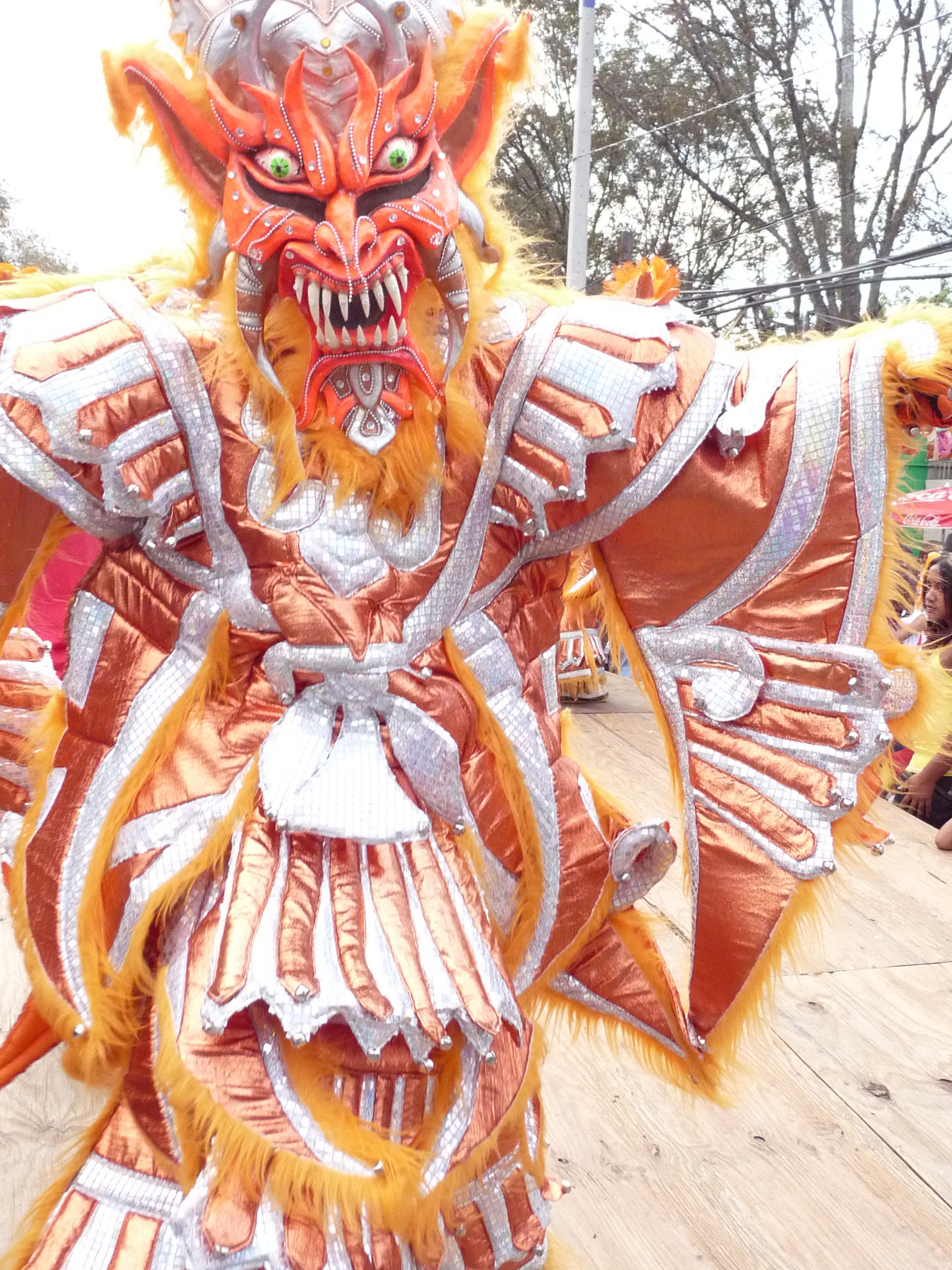 Carnaval Vegano 2009
