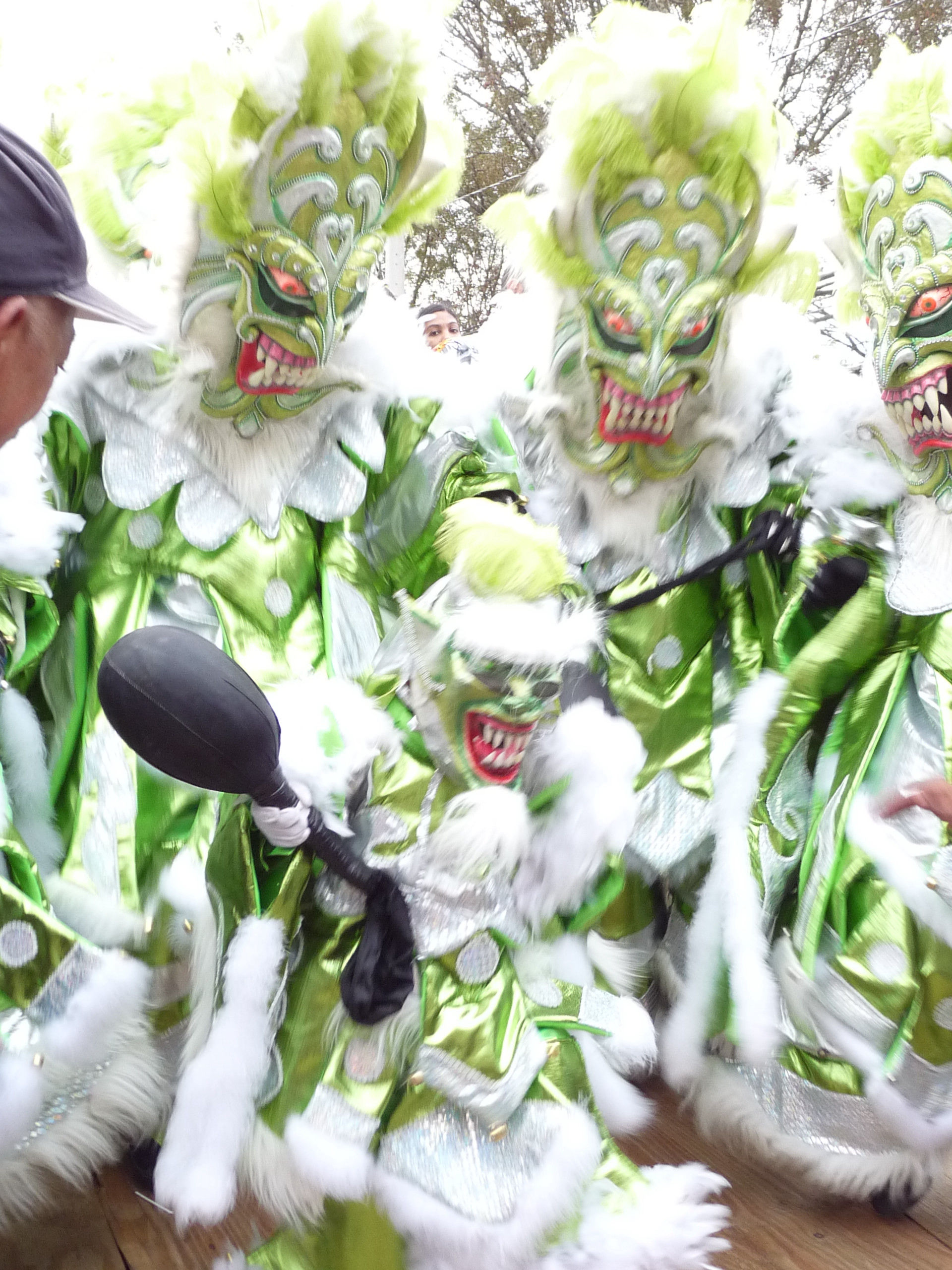 Carnaval Vegano 2009