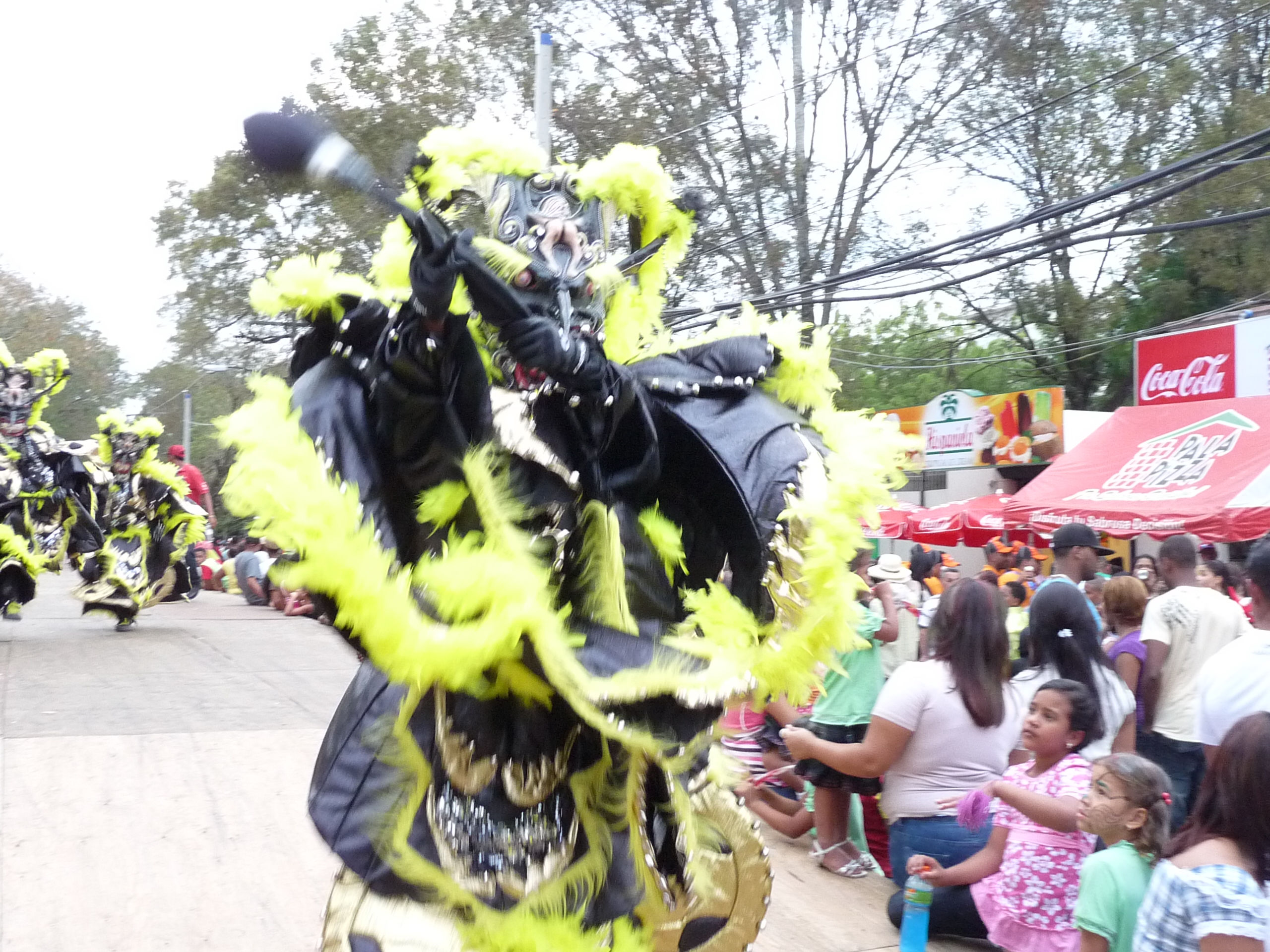 Carnaval Vegano 2009