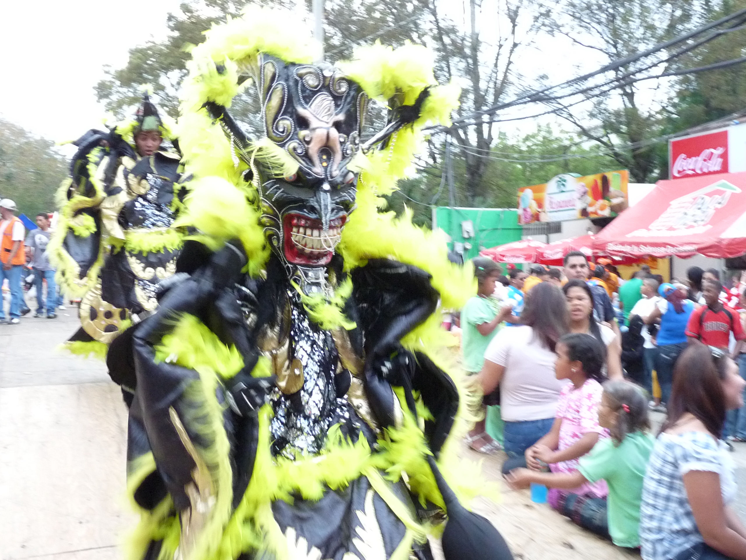 Carnaval Vegano 2009