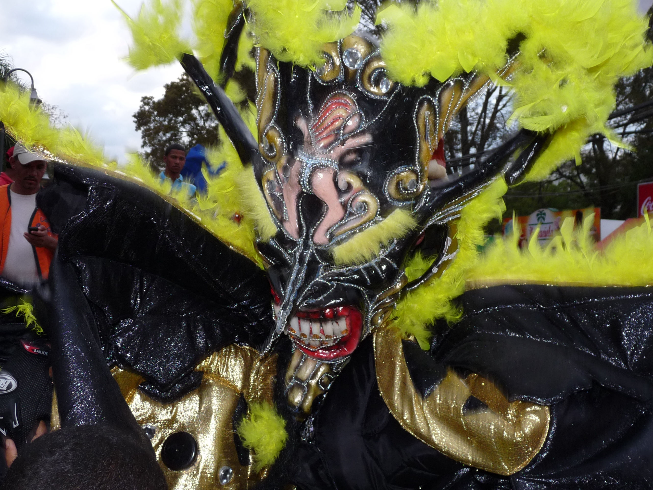 Carnaval Vegano 2009