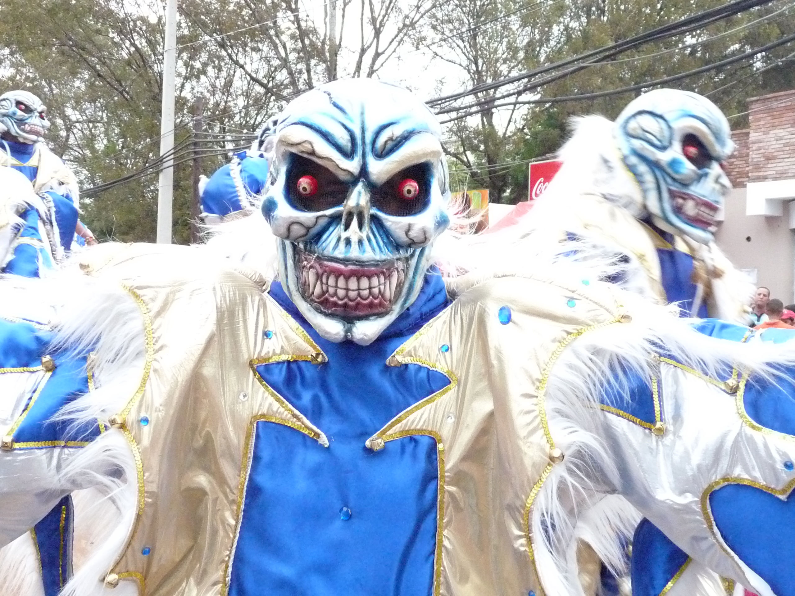 Carnaval Vegano 2009