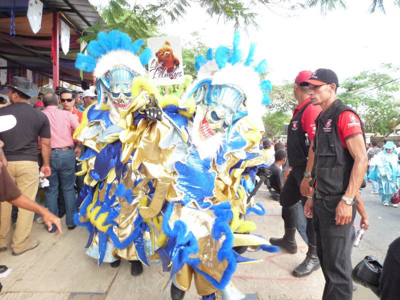 Carnaval Vegano 2010