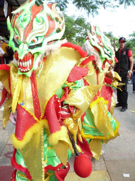 Carnaval Vegano 2010