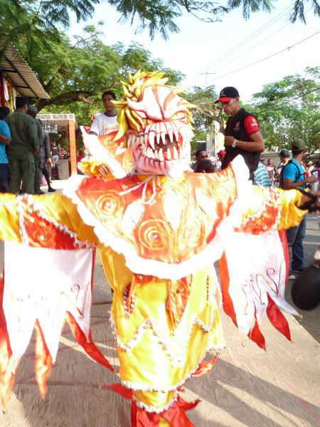 Carnaval Vegano 2010