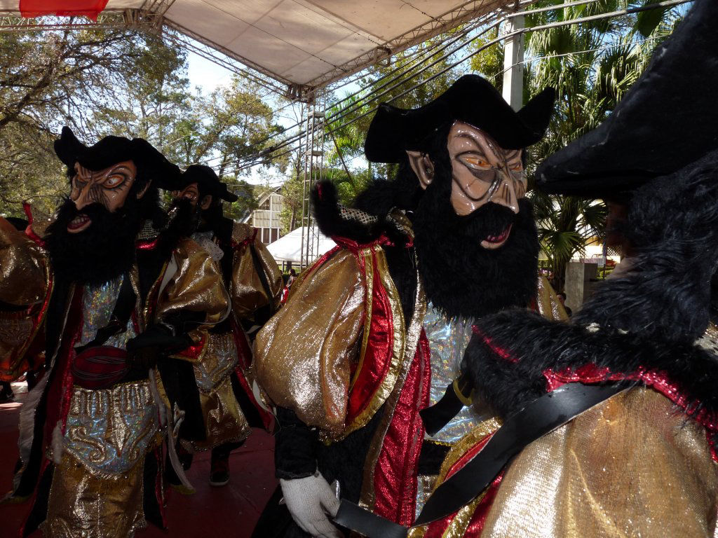 Carnaval Vegano 2011