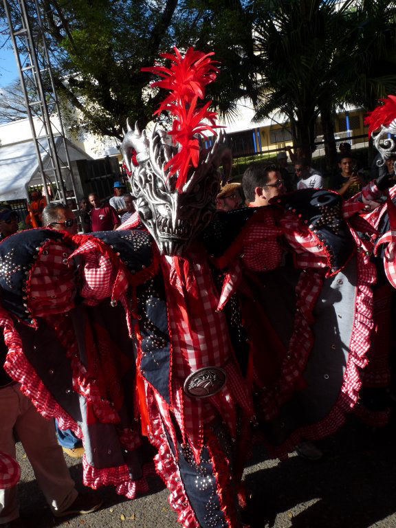 Carnaval Vegano 2011