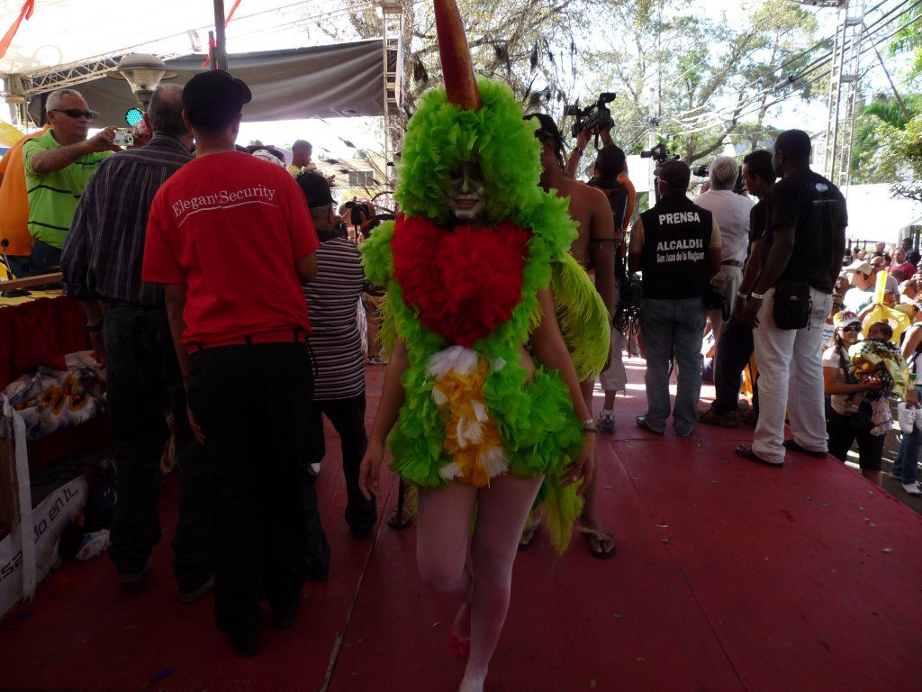 Carnaval Vegano 2011