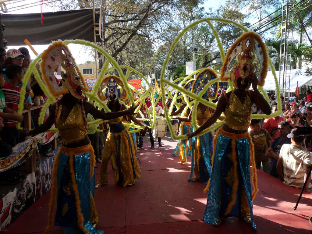 Carnaval Vegano 2011