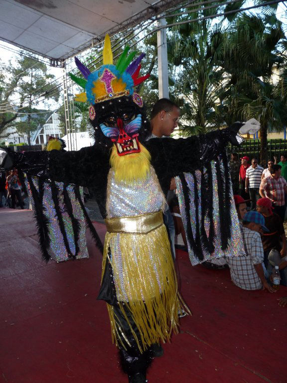 Carnaval Vegano 2011