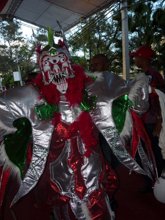 Carnaval Vegano 2011