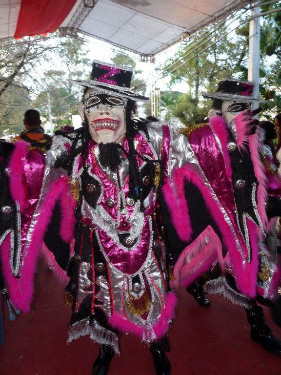 Carnaval Vegano 2011