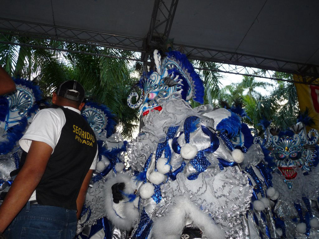 Carnaval Vegano 2012
