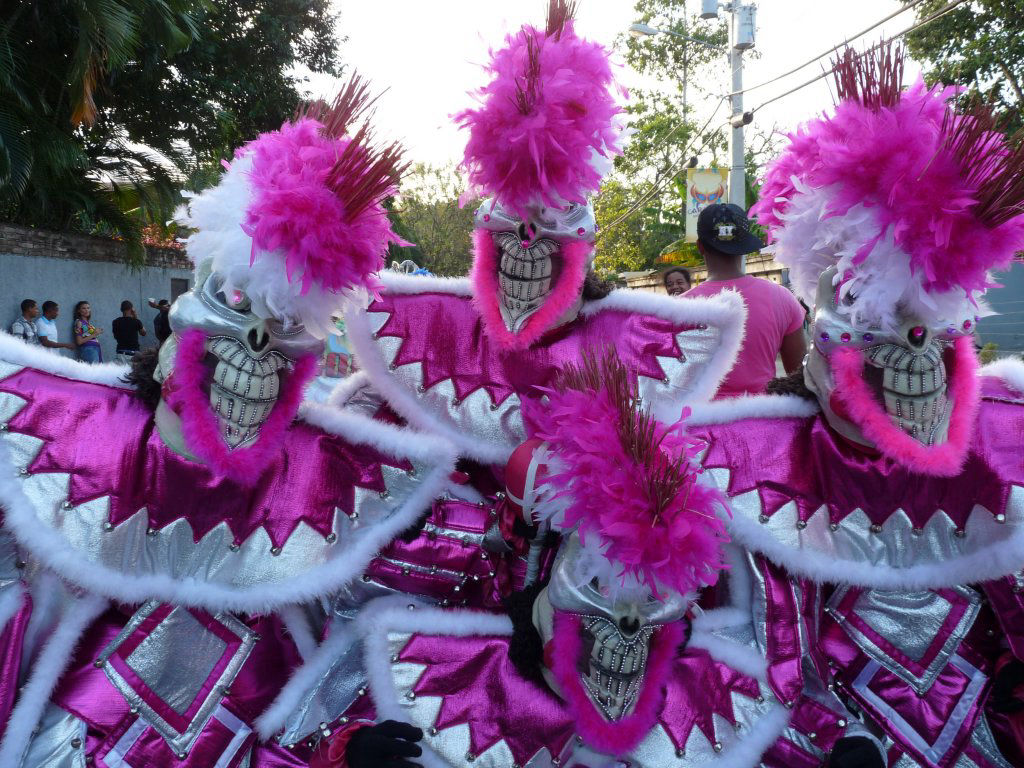 Carnaval Vegano 2013
