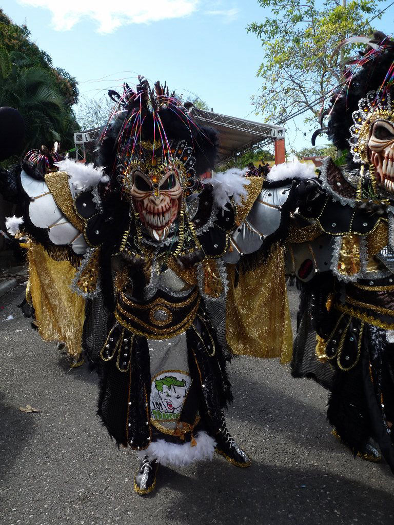 Carnaval Vegano 2014