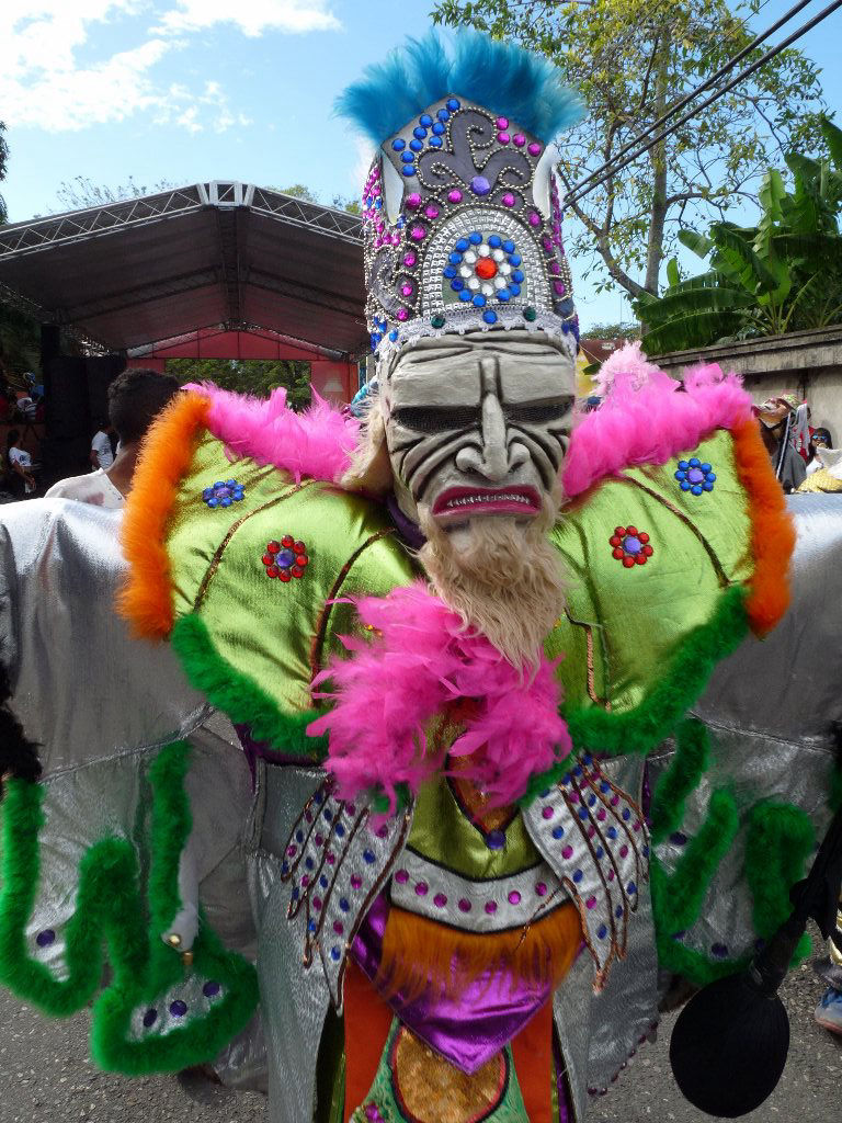 Carnaval Vegano 2014