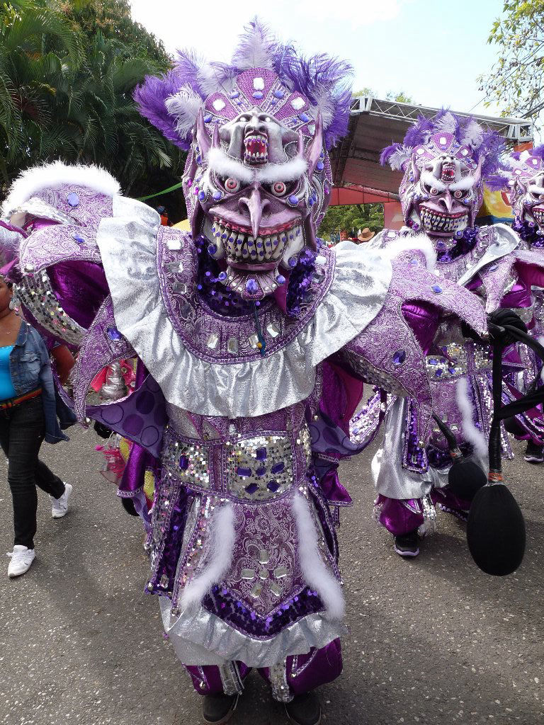 Carnaval Vegano 2014