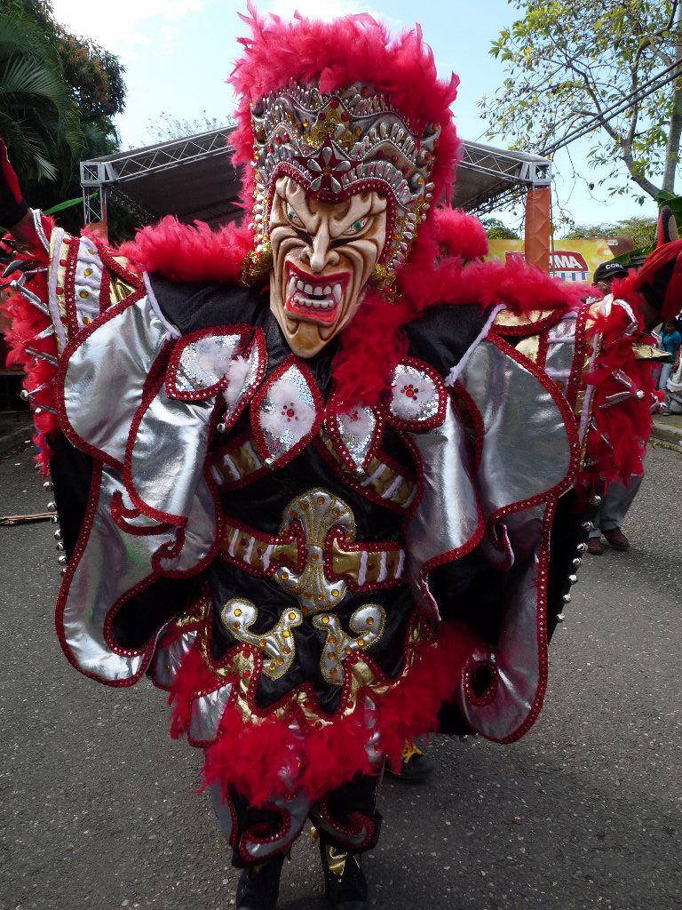 Carnaval Vegano 2014