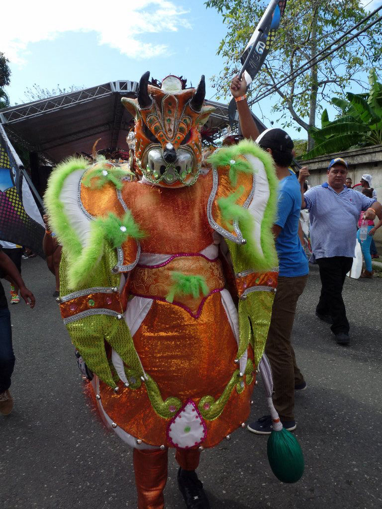 Carnaval Vegano 2014
