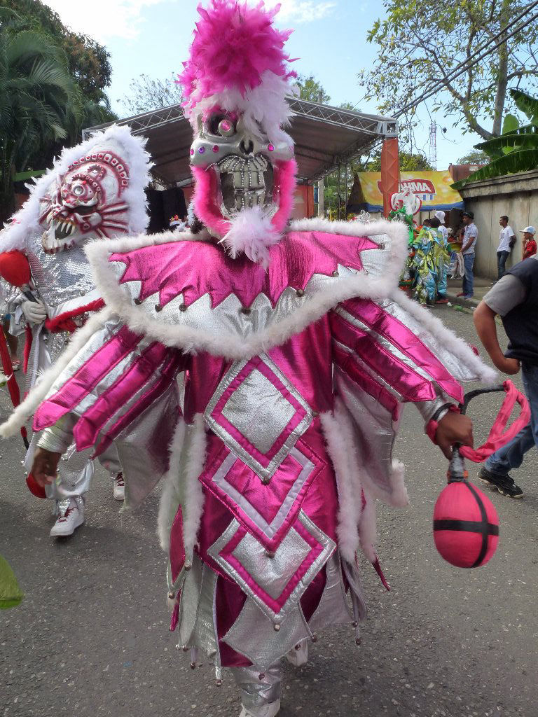 Carnaval Vegano 2014