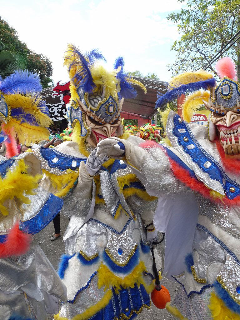 Carnaval Vegano 2014