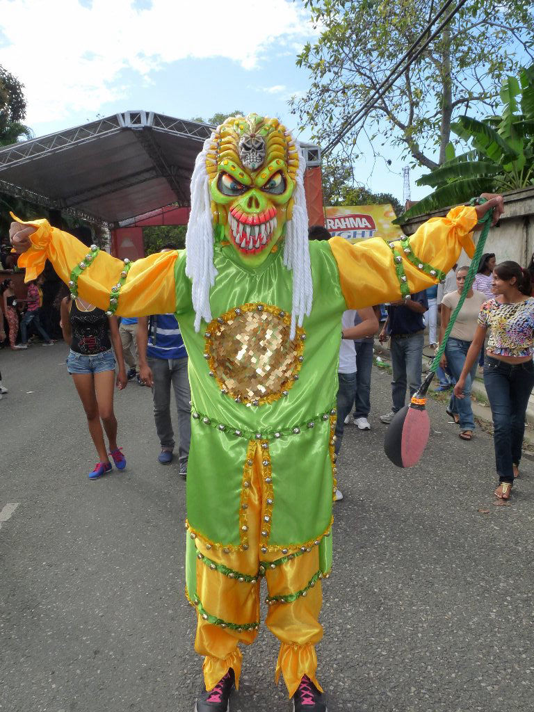Carnaval Vegano 2014