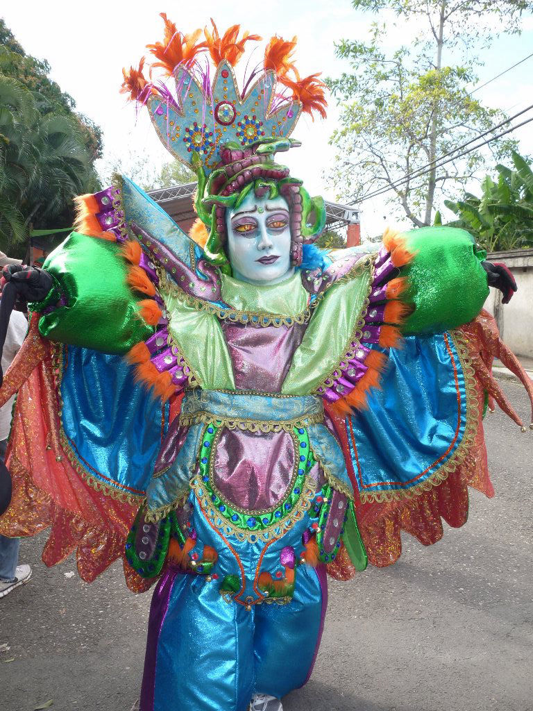 Carnaval Vegano 2014